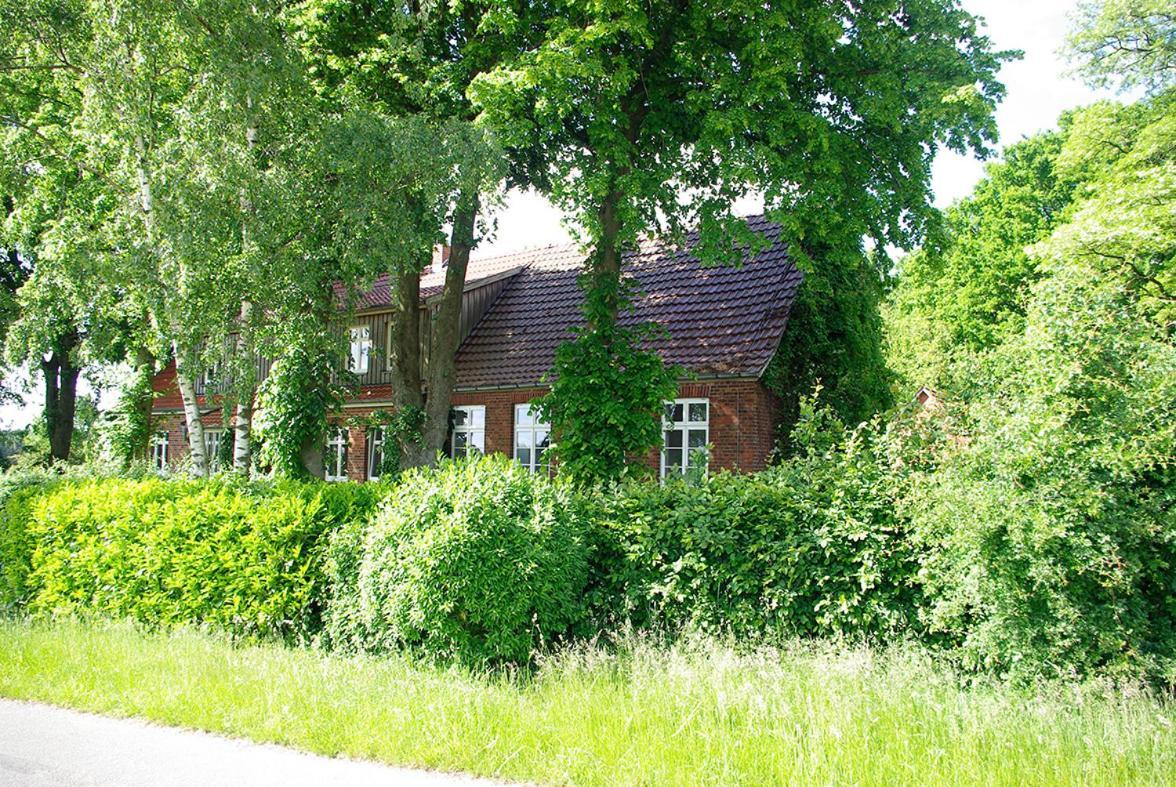 Alte Schule Osteroden Lejlighed Merzen Eksteriør billede